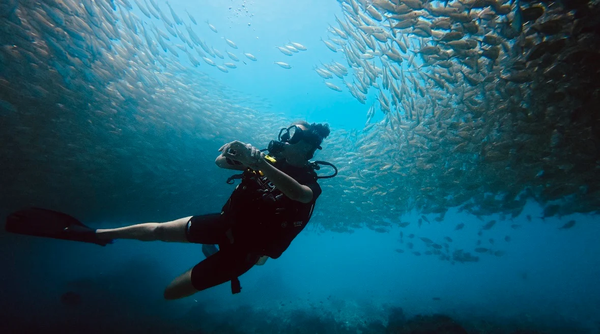 A guy diving in a swarm of fish